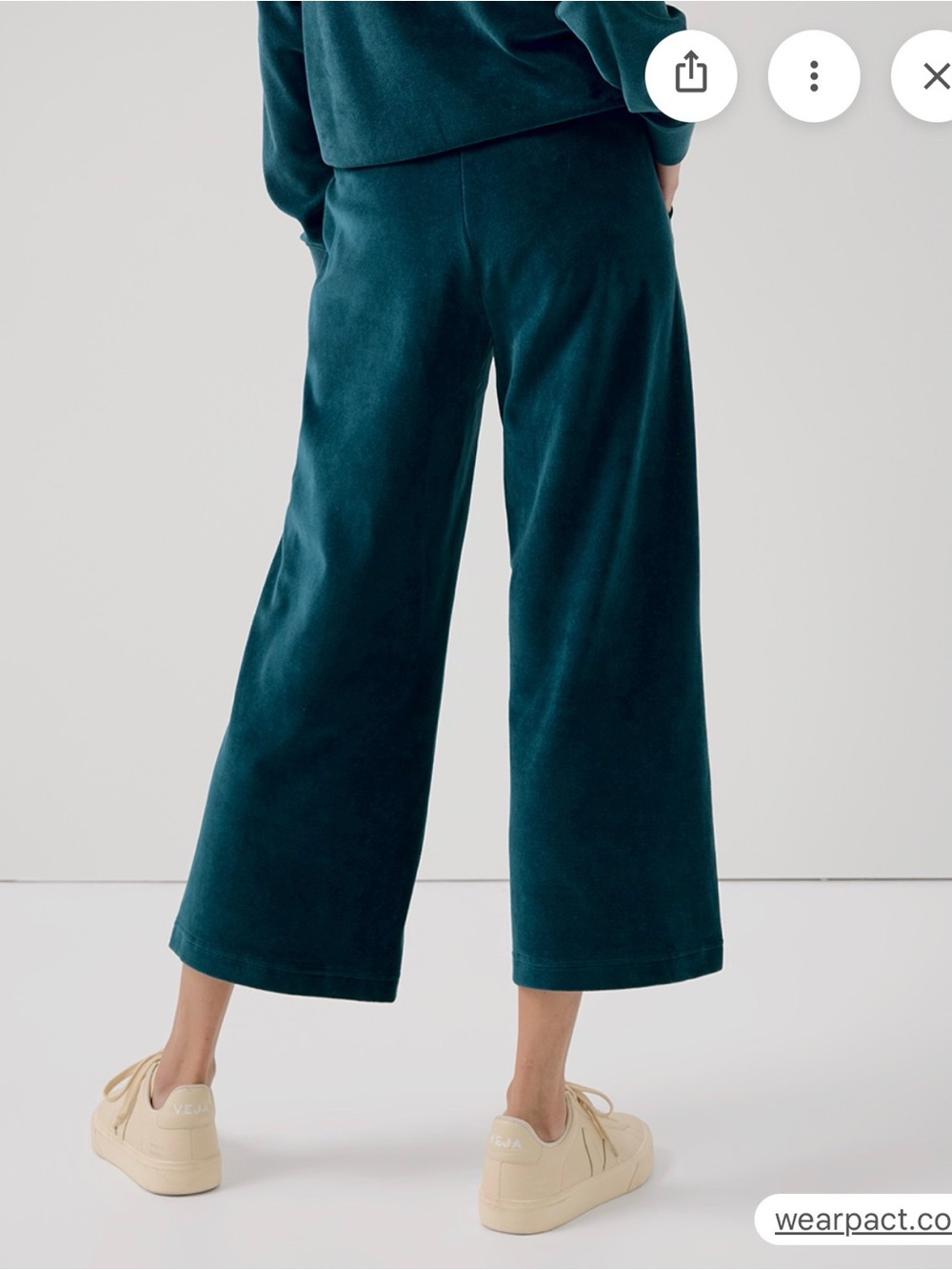Pact Dark Spruce Velour Wide-Leg Pants - Picture 2 of 6